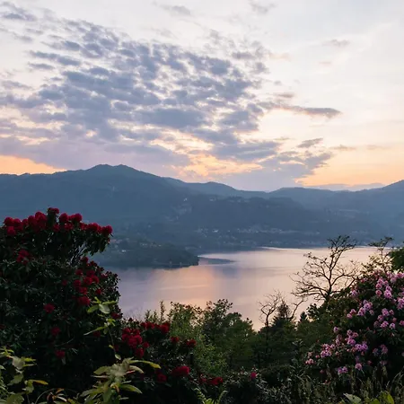 La Corte Sul App Carlotta أمينو