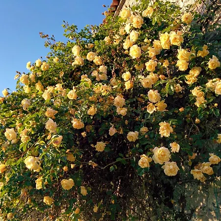 شقة La Corte Sul App Carlotta *